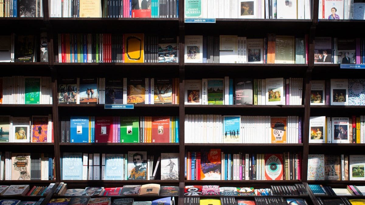 Große Auswahl an Büchern in einem Regal in einer gemütlichen Buchhandlung