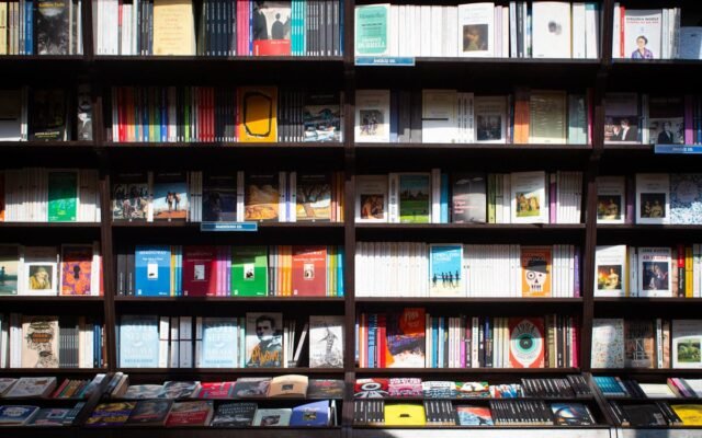 Große Auswahl an Büchern in einem Regal in einer gemütlichen Buchhandlung