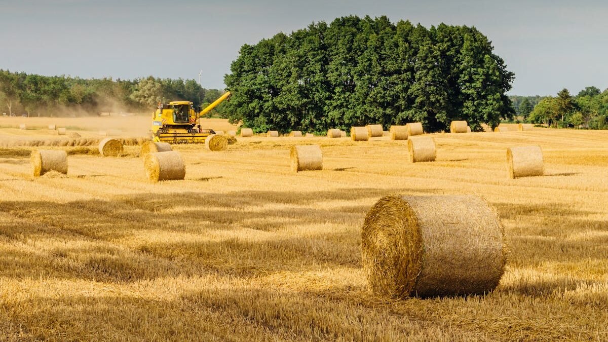 Malerische ländliche Landschaft mit goldenen Heuballen und einem Mähdrescher bei der Arbeit unter klarem Himmel
