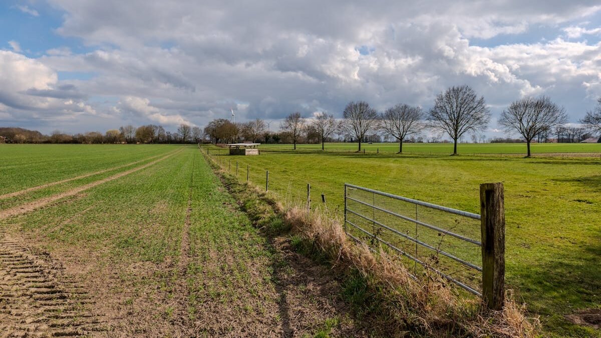 Weites ländliches Feld mit grünem Gras