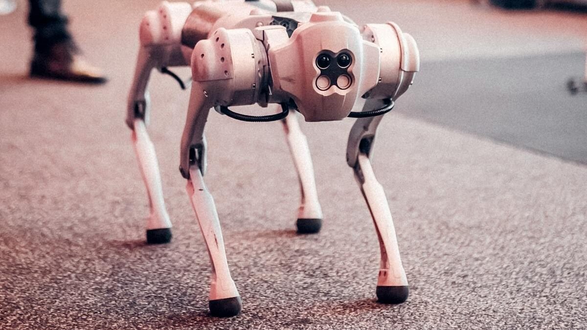 Roboterhund