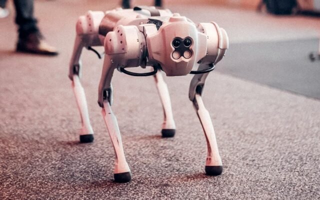 Roboterhund